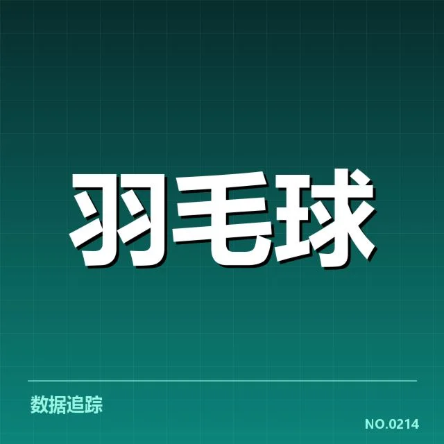 中国羽毛球公开赛战报：赛事成绩与选手表现引关注